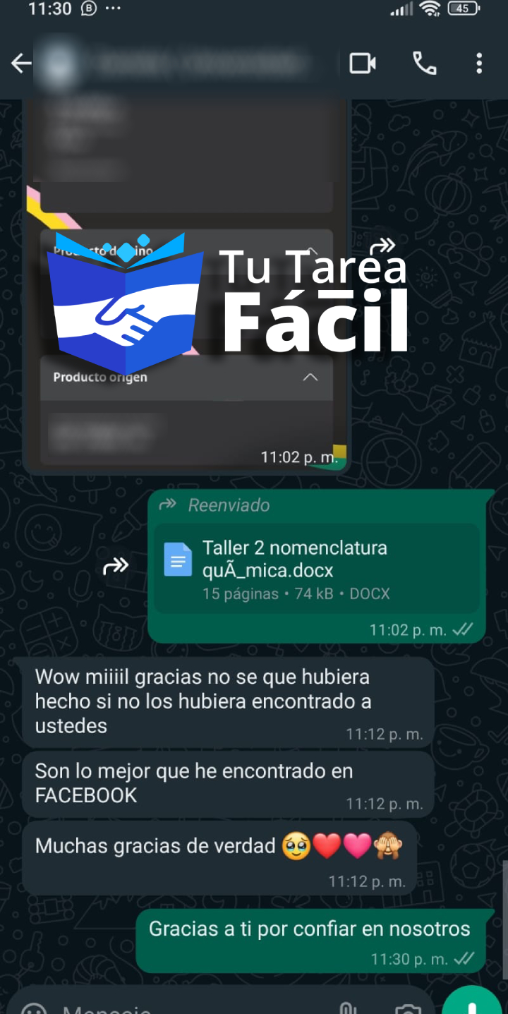 Testimonio de Cliente Satisfecho - Cliente de Tu Tarea Fácil